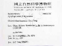 登錄號:F0018776藏品圖，第2張
