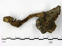 登錄號:F0018777藏品圖，第3張