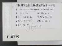 登錄號:F0018779藏品圖，第2張