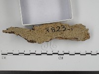 登錄號:F0018779藏品圖，第3張
