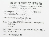 登錄號:F0018780藏品圖，第2張