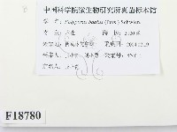登錄號:F0018780藏品圖，第3張