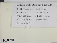 登錄號:F0018781藏品圖，第2張