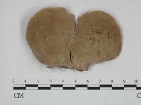 登錄號:F0018781藏品圖，第1張