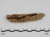 登錄號:F0018782藏品圖，第1張