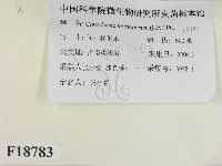 登錄號:F0018783藏品圖，第2張