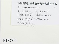 登錄號:F0018784藏品圖，第2張