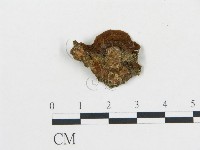 登錄號:F0018784藏品圖，第4張