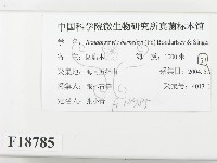 登錄號:F0018785藏品圖，第2張