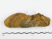 登錄號:F0018785藏品圖，第4張
