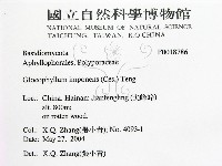 登錄號:F0018786藏品圖，第2張