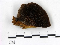 登錄號:F0018786藏品圖，第1張