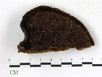 登錄號:F0018787藏品圖，第1張