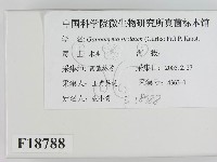 登錄號:F0018788藏品圖，第2張