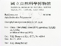 登錄號:F0018790藏品圖，第2張