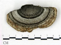 登錄號:F0018790藏品圖，第3張