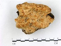 登錄號:F0018792藏品圖，第1張