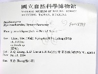 登錄號:F0018793藏品圖，第2張