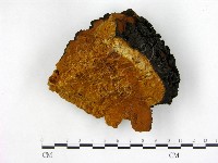 登錄號:F0018793藏品圖，第1張