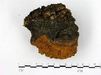 登錄號:F0018793藏品圖，第3張