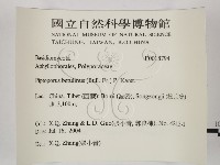 登錄號:F0018794藏品圖，第2張