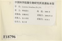 登錄號:F0018796藏品圖，第2張