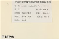 登錄號:F0018798藏品圖，第2張
