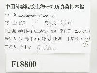 登錄號:F0018800藏品圖，第2張