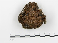 登錄號:F0018800藏品圖，第4張