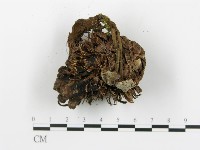 登錄號:F0018800藏品圖，第6張
