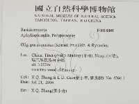 登錄號:F0018801藏品圖，第2張