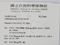 雲芝藏品圖，第2張