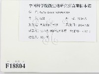 登錄號:F0018804藏品圖，第2張