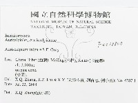 登錄號:F0018804藏品圖，第3張