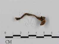登錄號:F0018804藏品圖，第1張
