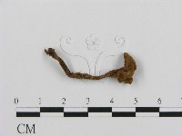 登錄號:F0018804藏品圖，第4張