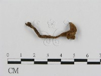 登錄號:F0018804藏品圖，第5張