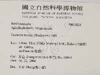 登錄號:F0018805藏品圖，第2張
