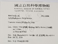 登錄號:F0018806藏品圖，第2張