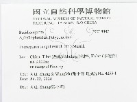 血紅密孔菌藏品圖，第3張