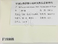 登錄號:F0018808藏品圖，第2張