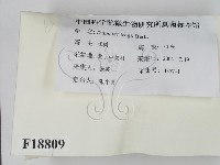 登錄號:F0018809藏品圖，第2張