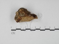 登錄號:F0018809藏品圖，第1張
