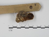 登錄號:F0018809藏品圖，第3張