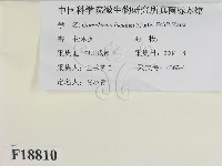 登錄號:F0018810藏品圖，第2張