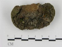 登錄號:F0018812藏品圖，第4張