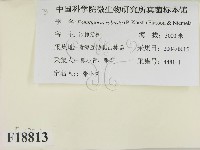 登錄號:F0018813藏品圖，第2張