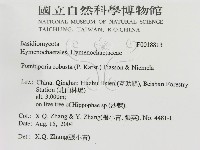 登錄號:F0018813藏品圖，第3張