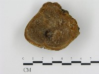 登錄號:F0018813藏品圖，第1張