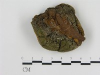登錄號:F0018813藏品圖，第4張